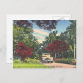 Everglades National Park Florida Briefkaart (Voorkant / Achterkant)