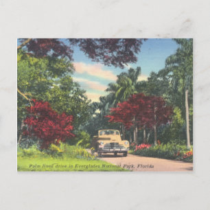 Everglades National Park Florida Briefkaart