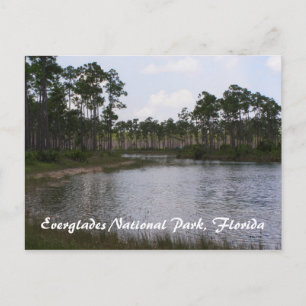 Everglades National Park, Florida Briefkaart