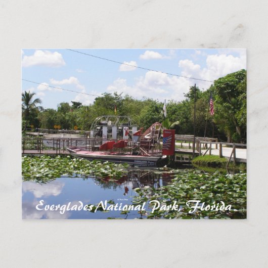 Everglades National Park, Florida Briefkaart (Voorkant)