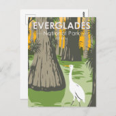 Everglades National Park Florida Egret Briefkaart (Voorkant / Achterkant)