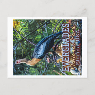 EVERGLADES NATIONAL PARK - FLORIDA VERENIGDE STATE BRIEFKAART