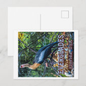 EVERGLADES NATIONAL PARK - FLORIDA VERENIGDE STATE BRIEFKAART (Voorkant / Achterkant)