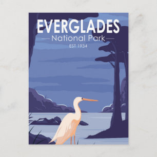 Everglades National Park Night Egret Briefkaart
