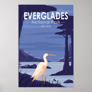 Everglades National Park Night Egret  Poster