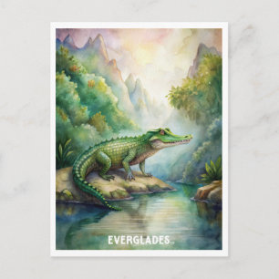Everglades National Park Waterverf Briefkaart