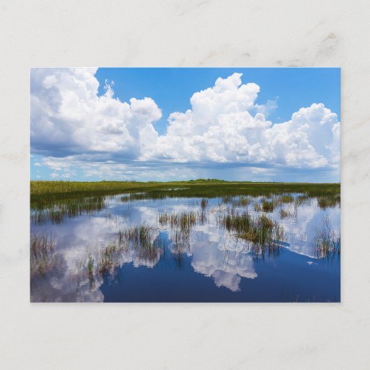 Everglades Natural Landscape Briefkaart (Voorkant)