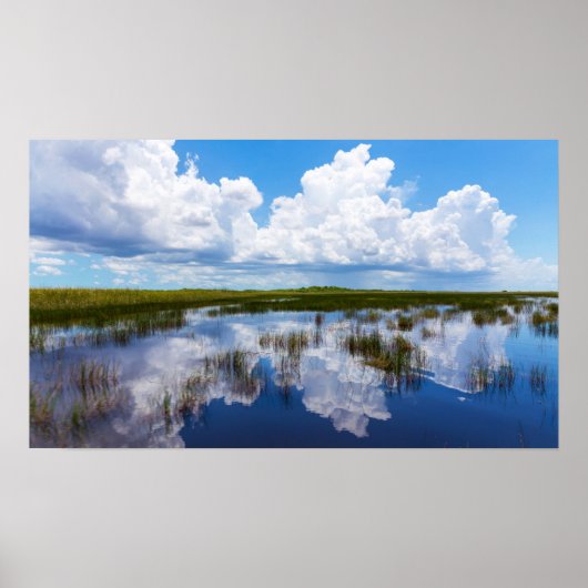 Everglades Natural Landscape Poster (Voorkant)