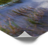 Everglades Natural Landscape Poster (Hoek)