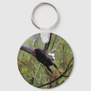 Everglades Snagelsteen #1 sleutelhanger