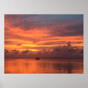 Everglades Sunset Poster