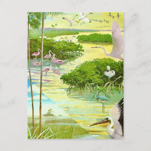 Everglades Vogelansichtkaart Briefkaart