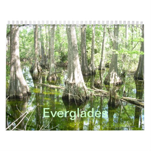 Everglades wandkalender kalender (Hoes)