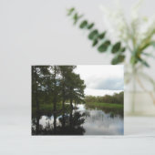 Everglades Waterway Briefkaart (Staand voorkant)