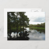 Everglades Waterway Briefkaart (Voorkant / Achterkant)