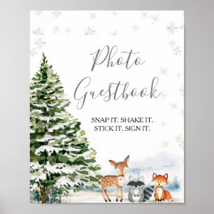 Evergreen Animal Winter Nederland Foto Guestbook Poster