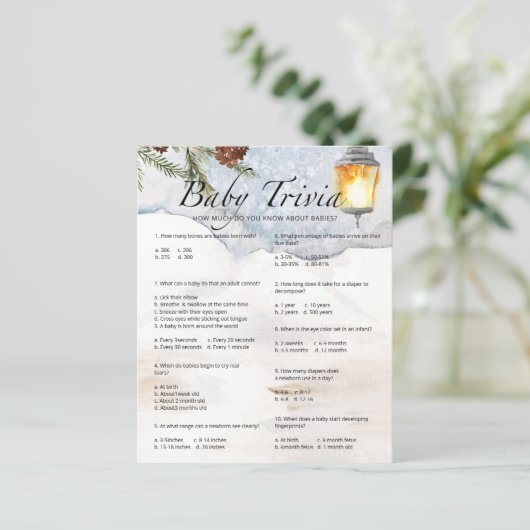 Evergreen Baby Trivia Baby shower Game (Staand voorkant)