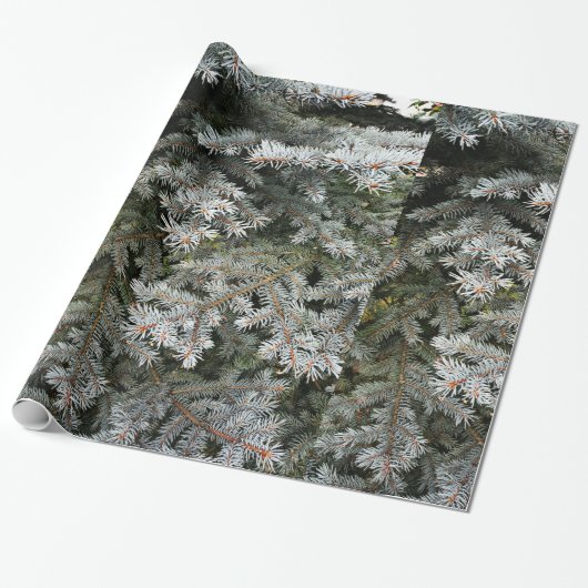 Evergreen-boom | cadeaupapier (Uitgerold)