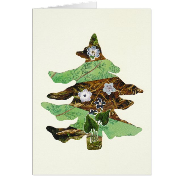 Evergreen & Flowers (Voorkant)