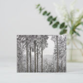 Evergreen forest in de winter briefkaart (Staand voorkant)