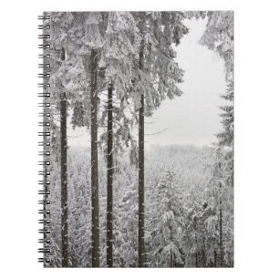 Evergreen forest in de winter notitieboek