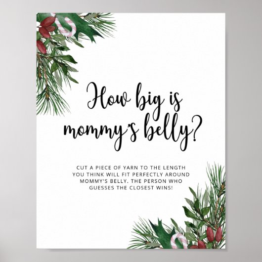 Evergreen: hoe groot is mama's buikspel poster (Voorkant)