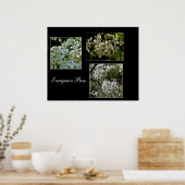 Evergreen Pear bloemen bloemen. Poster (Keuken)