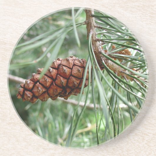Evergreen Pine Cone Thirsty Sandstone Onderzetter (Voorkant)