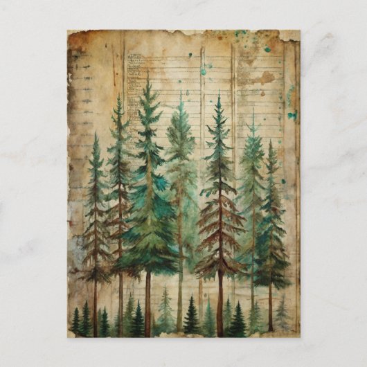 Evergreen Pines  Natuur boslandschap Briefkaart (Voorkant)