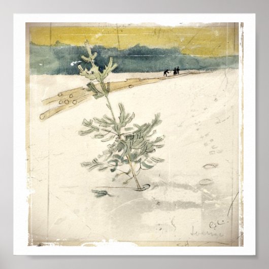 Evergreen Poster (Voorkant)