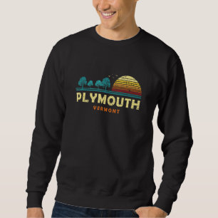 Evergreen Sunset Plymouth Forest Vermont Bossen Na Trui