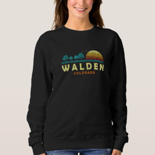Evergreen Sunset Walden Forest Colorado Woods Natu Trui