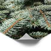 Evergreen Tree Background Canvas of Poster (Hoek)