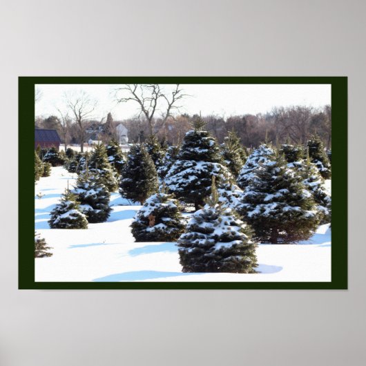 Evergreen Trees met sneeuwPoster Poster (Voorkant)