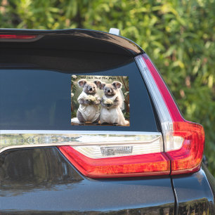 Evergreen Vows: Een Koala-bruiloft in het wit Sticker
