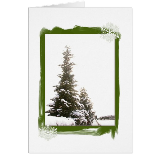 Evergreens d'hiver do-it-yourself (Devant)