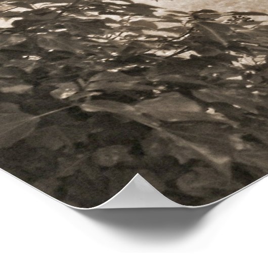 Evergreens en Gravestenen Poster (Hoek)