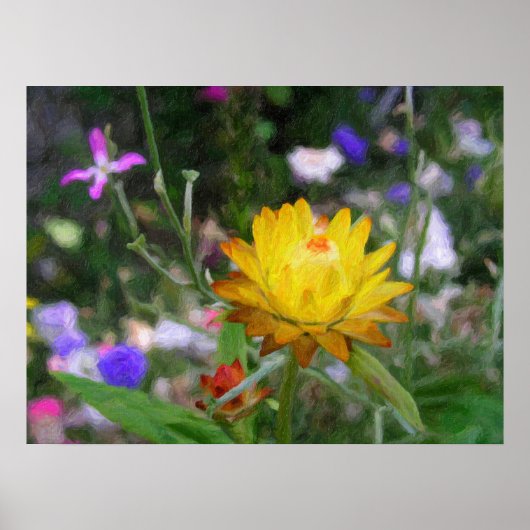 Eversustainable Flowers. Poster (Voorkant)