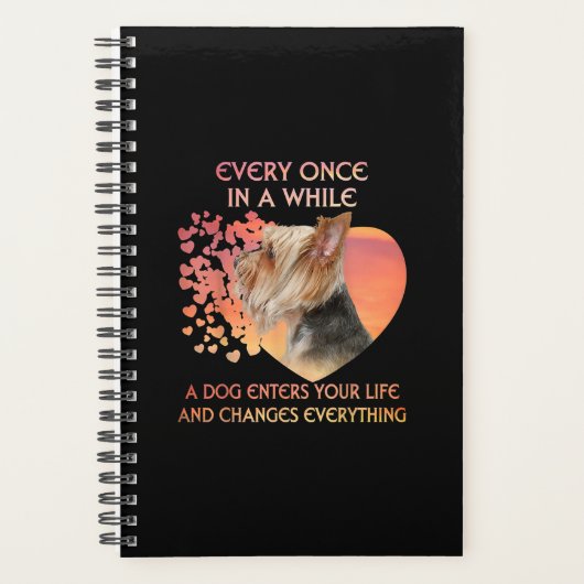 Every Once In A While A Dog Enters (Devant)