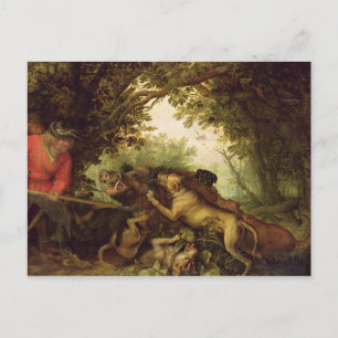 Everzwijn jacht, 1611 briefkaart