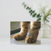 Evey's Paws Briefkaart (Staand voorkant)