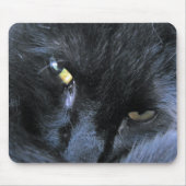 Evil Cat Mousepad Muismat (Voorkant)