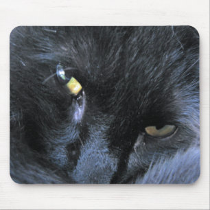 Evil Cat Mousepad Muismat