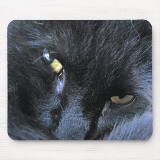 Evil Cat Mousepad Muismat (Voorkant)