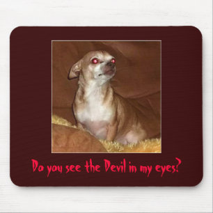 Evil Chihuahua Mousepad Muismat