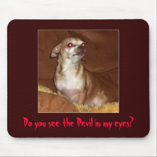 Evil Chihuahua Mousepad Muismat