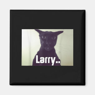 Evil Larry Meme Larry Cat Meme Vervloekte Memen He Magneet