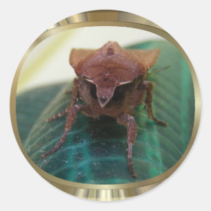 Evil Moth 1 ~ autocollant