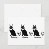 Evil Plotting Cat Trio Briefkaart (Voorkant / Achterkant)