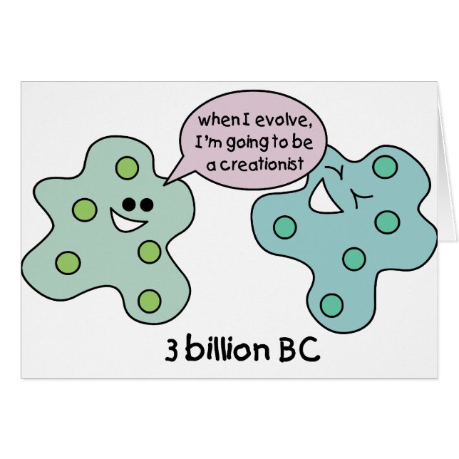 Evolutie (Voorkant Horizontaal)